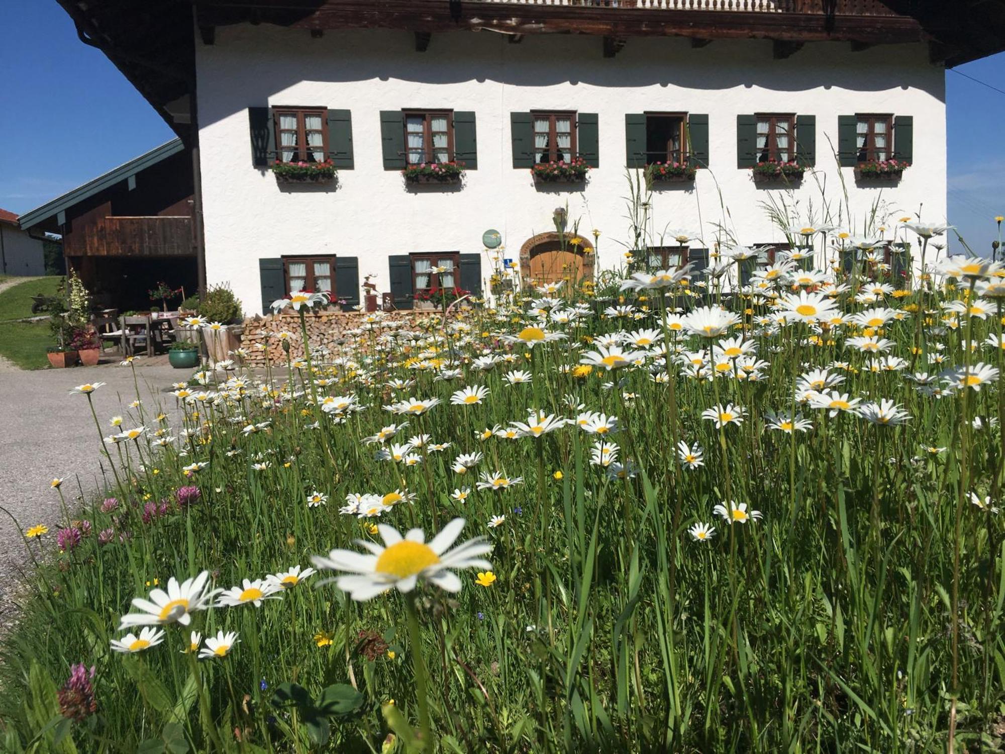 Stadlerhof Frasdorf Kültér fotó